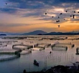 射洪伴游中国网景点丰富(旅游网介绍)