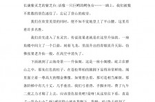 射洪旅游感想(张家界旅游感想)
