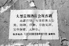 射洪珠海伴游雇用网(珠海游览社雇用信息)