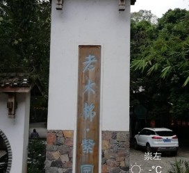 射洪关于伴游中国伴游你们伴得是什么游的信息