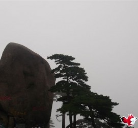 射洪上海伴游私家陪游雇用女模(上海伴游私家陪游雇用女模特)