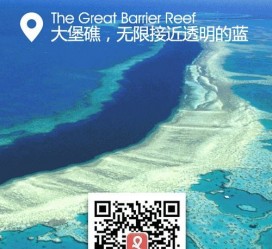 射洪中国250家旅行社结伴游新西兰(新西兰当地旅行社)