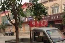射洪上海伴游 用伴游造句大全(5