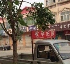 射洪上海伴游 用伴游造句大全(5