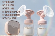 射洪奶模(奶模型)