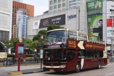 射洪上海私人伴游 上海过年怎么玩？这些“微游”线路了解下→