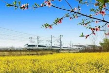 射洪高铁游(高铁游戏下载手机版)