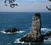 射洪旅游全攻略(上海旅游全攻略)