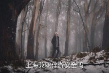 射洪上海私人伴游 上海伴游，上海兼职伴游安全吗