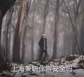 射洪上海私人伴游 上海伴游，上海兼职伴游安全吗