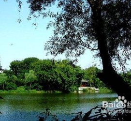 射洪西湖旅游攻略(上海到杭州西湖旅游攻略)