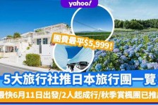 射洪旅游价格(旅游价格机制)
