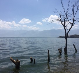 射洪洱海旅游攻略(洱海旅游攻略自由行)