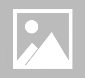 射洪全国男伴游雇用信息(哪里有雇用男士伴游的)