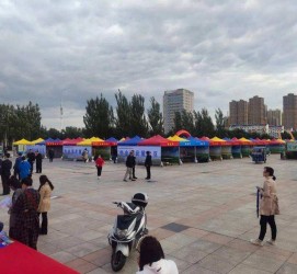 射洪通辽伴游雇用(哈尔滨伴游雇用)