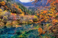 射洪四川旅游攻略(四川旅游攻略十五日游)
