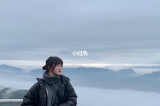 射洪四日游(朝鲜四日游)