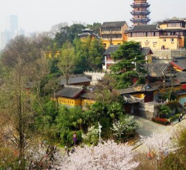射洪南京周边游(南京周边游景点大全 自驾车旅游)
