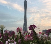 射洪广州旅游攻略(杭州到广州旅游攻略)