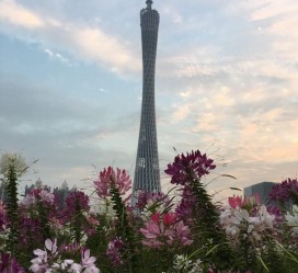 射洪广州旅游攻略(杭州到广州旅游攻略)