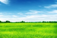 射洪上海伴游 上海模特伴游微信号的交友宣言