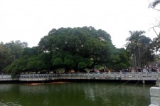 射洪福州旅游攻略(福州旅游攻略二日游)