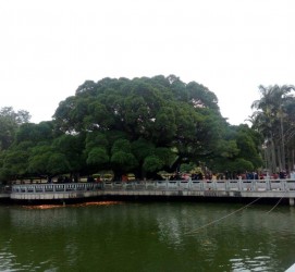 射洪福州旅游攻略(福州旅游攻略二日游)