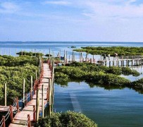 射洪旅游哪里好玩(云南旅游哪里好玩)