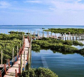 射洪旅游哪里好玩(云南旅游哪里好玩)