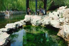 射洪济南旅游攻略(青岛威海济南旅游攻略)