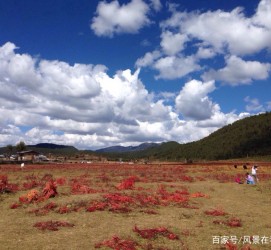 射洪旅游去处(暑期最好的旅游去处)