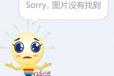 射洪选美蜜斯(世界选美蜜斯)