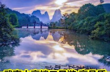 射洪游跟团(旅游跟团)