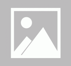 射洪私人伴游 黄金周里动“黄”经 天津又现“私人陪游”逆流