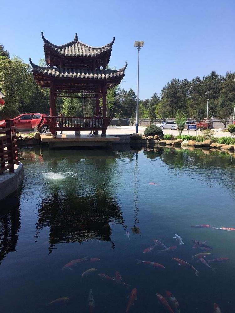 久久伴游**(久久游代理)
